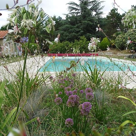 Villa Entiere Du Chateau Lacroix De Civrac 3 Ch, 3 Sdb, Piscine Xxl,Sauna, 4 Etoiles,7 Pers ภายนอก รูปภาพ